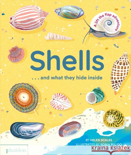 Shells... and what they hide inside: A Lift-the-Flap Adventure Helen Scales 9781838667887 Phaidon Press Ltd - książka