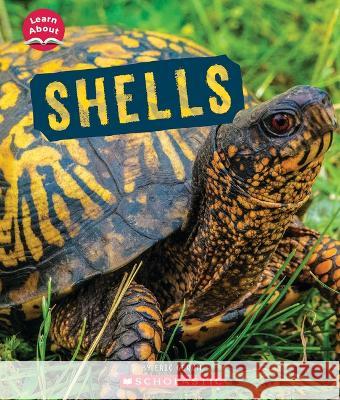 Shells (Learn About: Animal Coverings) Geron, Eric 9781338898095 Scholastic Press - książka
