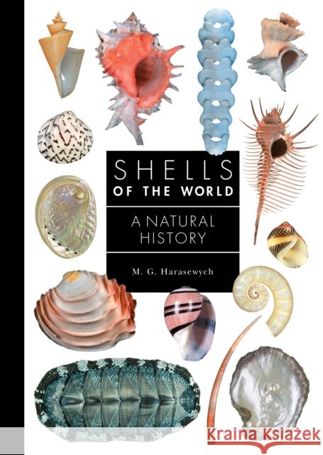 Shells of the World: A Natural History M. G. Harasewych 9780691248271 Princeton University Press - książka