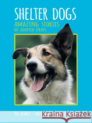 Shelter Dogs: Amazing Stories of Adopted Strays Peg Kehret, Greg Farrar 9780807573365 Albert Whitman & Company - książka