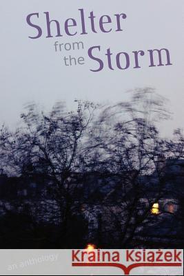 Shelter from the Storm: An Anthology Cameron Trost Danielle Birch Claire Fitzpatrick 9780992321123 Black Beacon Books - książka