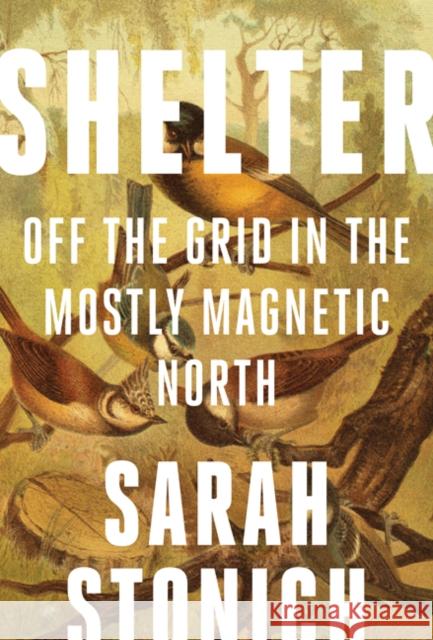 Shelter: Off the Grid in the Mostly Magnetic North Sarah Stonich 9781517902643 University of Minnesota Press - książka