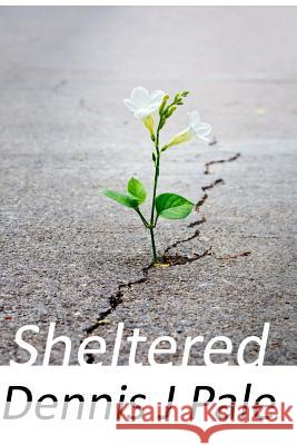 Sheltered Dennis J. Pale 9781480040991 Createspace - książka