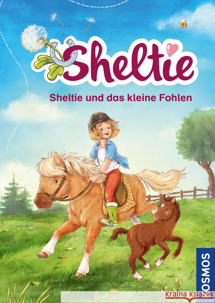 Sheltie - Sheltie und das kleine Fohlen Clover, Peter 9783440171493 Kosmos (Franckh-Kosmos) - książka