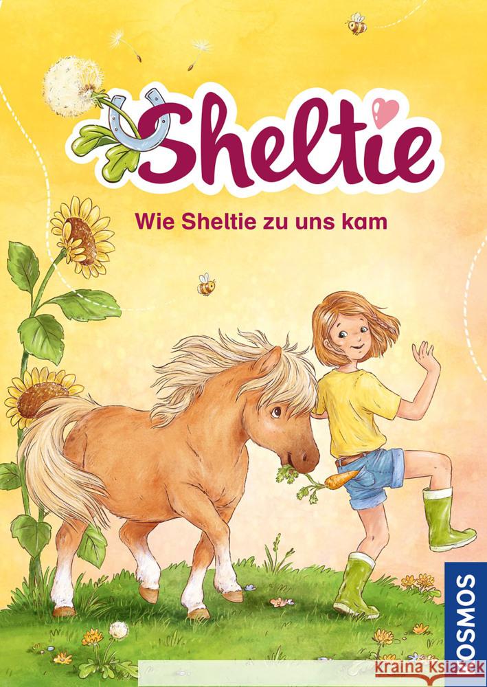 Sheltie - Wie Sheltie zu uns kam Clover, Peter 9783440170359 Kosmos (Franckh-Kosmos) - książka
