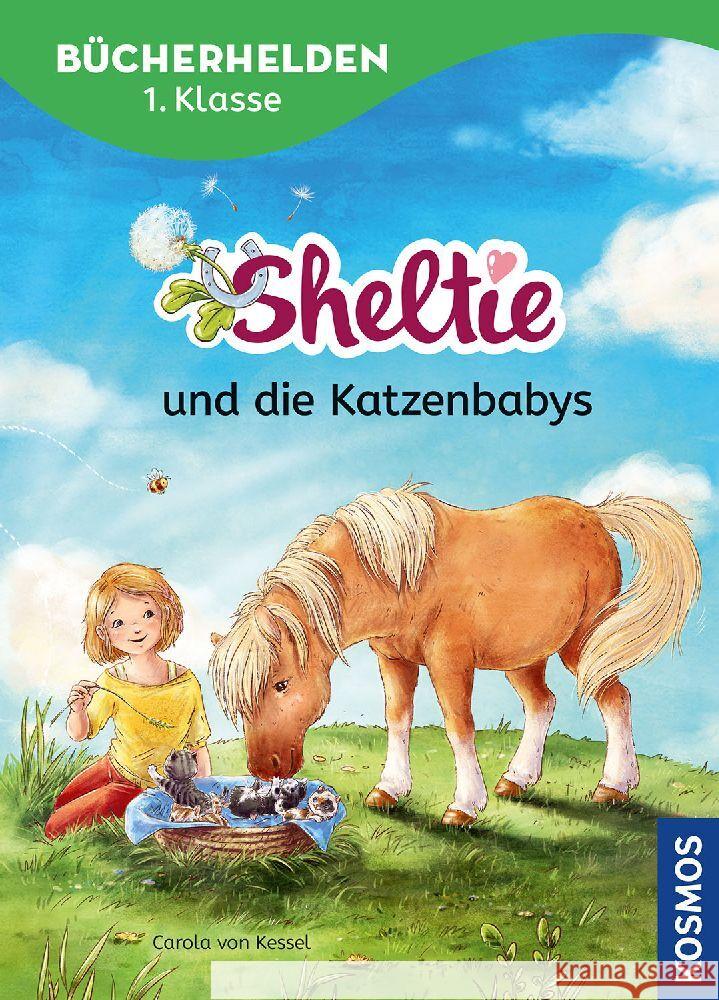 Sheltie, Bücherhelden 1. Klasse, Sheltie und die Katzenbabys Kessel, Carola von 9783440178317 Kosmos (Franckh-Kosmos) - książka