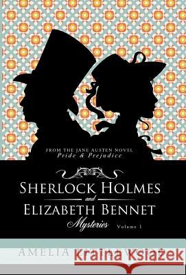 Sherlock Holmes & Elizabeth Bennet Mysteries Amelia Littlewood 9781999760069 NDS Media - książka