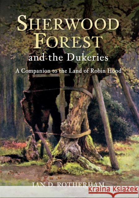 Sherwood Forest & the Dukeries: A Companion to the Land of Robin Hood Professor Ian D. Rotherham 9781445614748 Amberley Publishing - książka