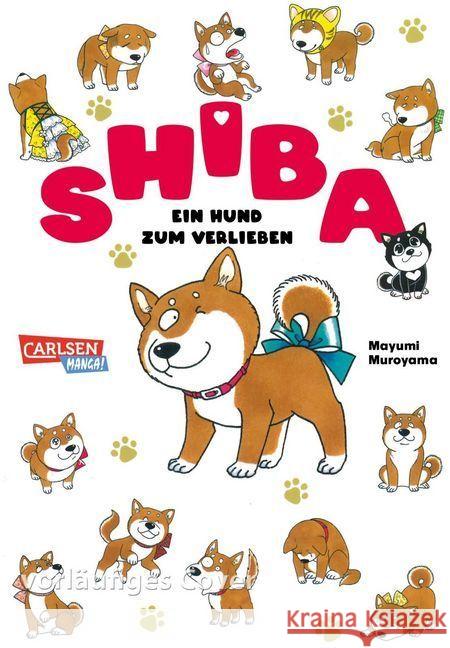 Shiba - Ein Hund zum Verlieben Muroyama, Mayumi 9783551787583 Carlsen - książka