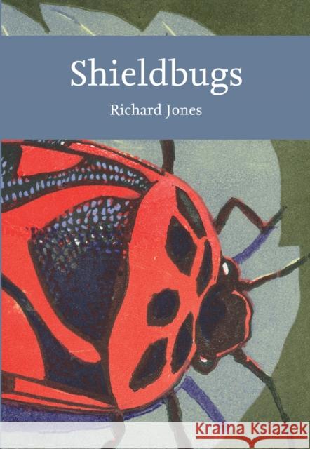 Shieldbugs Richard Jones 9780008334918 HarperCollins Publishers - książka