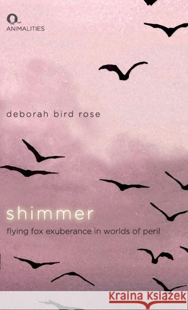 Shimmer: Flying Fox Exuberance in Worlds of Peril Deborah Bird Rose 9781474490382 Edinburgh University Press - książka