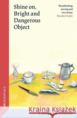 Shine on, Bright and Dangerous Object Laurie Colwin 9781399614450 Orion Publishing Co - książka