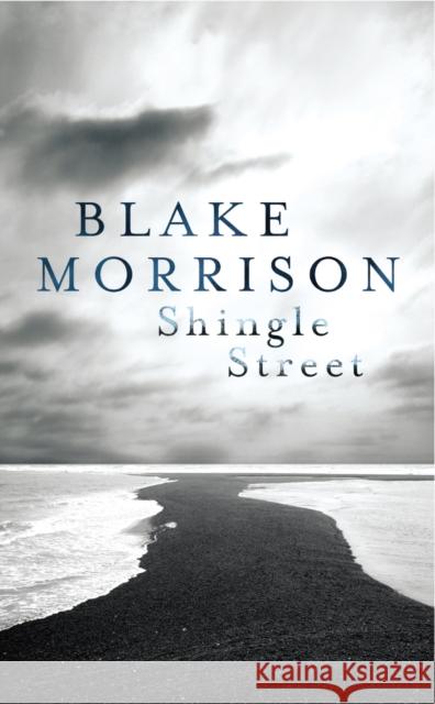 Shingle Street: The brilliant collection from award-winning author Blake Morrison Blake Morrison 9780701188771 Vintage Publishing - książka