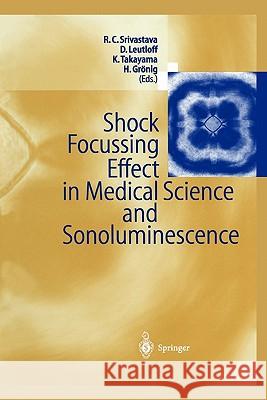 Shock Focussing Effect in Medical Science and Sonoluminescence Ramesh C. Srivastava Dieter Leutloff Kazuyashi Takayama 9783642076367 Not Avail - książka