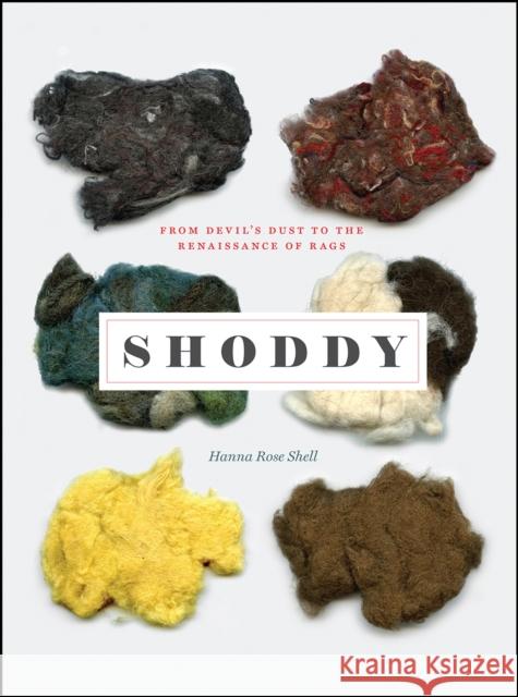 Shoddy: From Devil's Dust to the Renaissance of Rags Hanna Rose Shell 9780226377759 The University of Chicago Press - książka