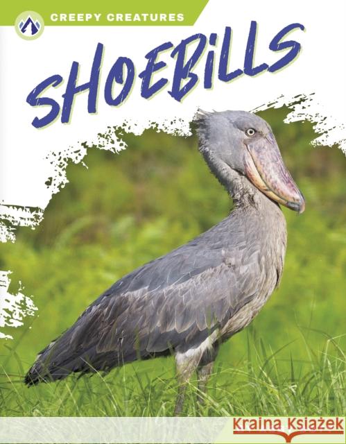 Shoebills Abby Doty 9798892503228 North Star Editions - książka