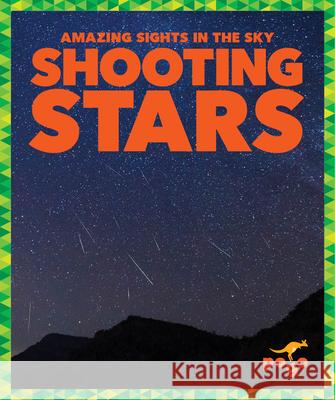 Shooting Stars Jane P. Gardner 9781645275718 Pogo Books - książka