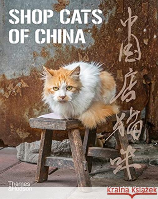 Shop Cats of China Marcel Heijnen 9780500296110 Thames & Hudson Ltd - książka