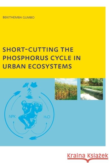 Short-cutting the Phosphorus Cycle in Urban Ecosystems Bekithemba Gumbo   9780415384841 Taylor & Francis - książka