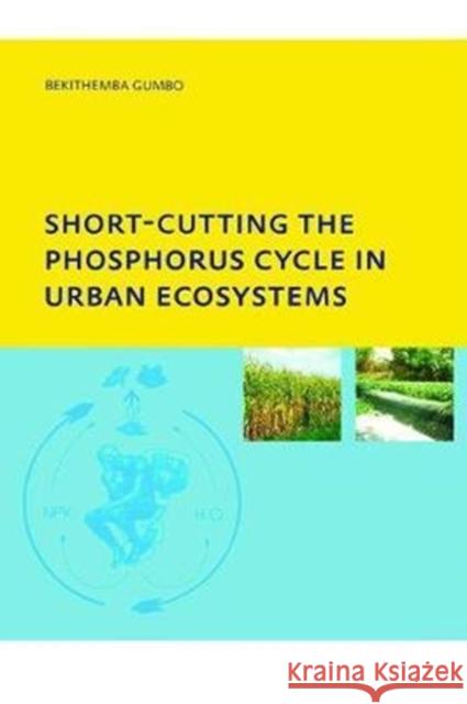 Short-Cutting the Phosphorus Cycle in Urban Ecosystems Bekithemba Gumbo 9781138424418 CRC Press - książka