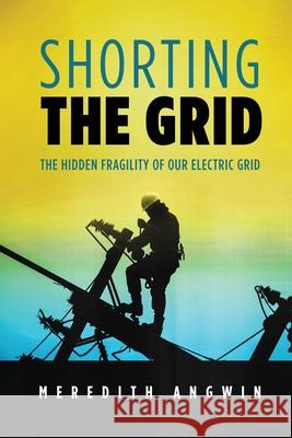 Shorting the Grid: The Hidden Fragility of Our Electric Grid Meredith Angwin 9781735358000 Carnot Communications - książka