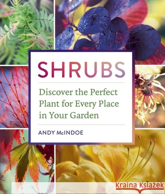 Shrubs: Discover the Perfect Plant for Every Place in Your Garden Andy McIndoe 9781604697674 Workman Publishing - książka