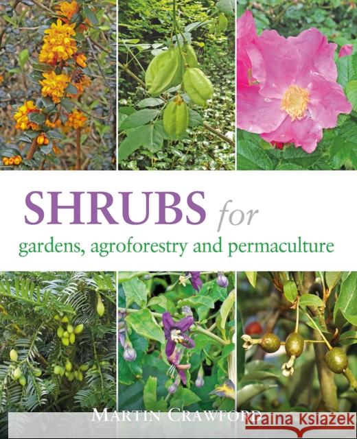 Shrubs for Gardens, Agroforestry and Permaculture Martin Crawford 9781856233330 Permanent Publications - książka