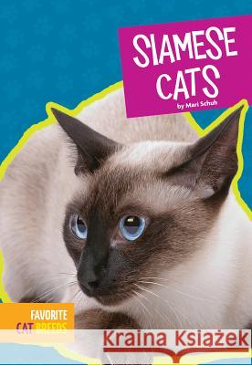 Siamese Cats Mari C. Schuh 9781607539728 Amicus High Interest - książka