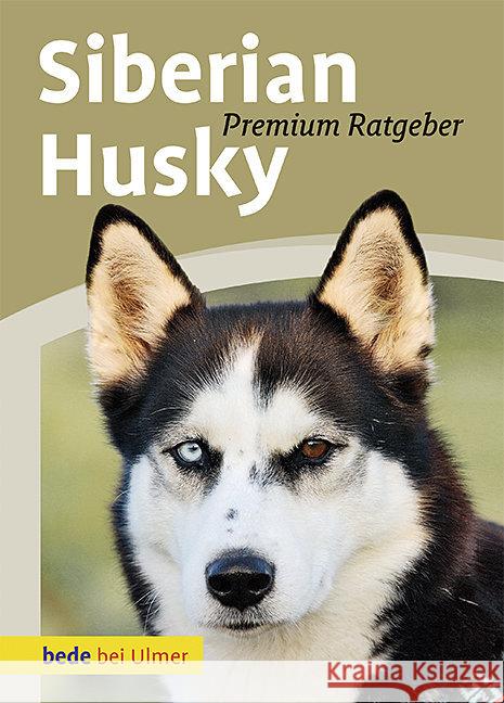 Siberian Husky Schmitt, Annette   9783800167210 Ulmer (Eugen) - książka