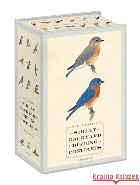 Sibley Backyard Birding Postcards: 100 Postcards Sibley, David 9780770433963 Random House USA Inc - książka