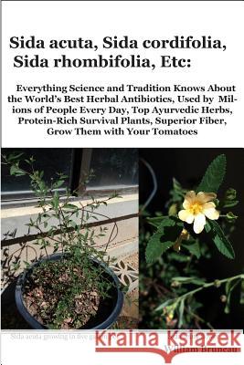 Sida acuta, Sida cordifolia, Sida rhombifolia, Etc.: Everything Science and Tradition Knows about the World's Best Herbal Antibiotics, Used by Million Bruneau, William L. 9780974879932 William Bruneau - książka