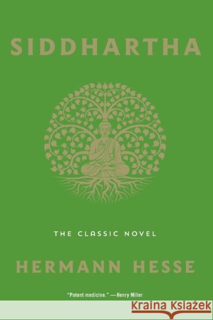 Siddhartha: The Classic Novel Hermann Hesse 9781250861849 St. Martin's Essentials - książka