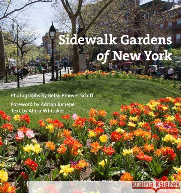 Sidewalk Gardens of New York Alicia Whittaker Betsy Pinover Schiff 9781580934640 Monacelli Press - książka