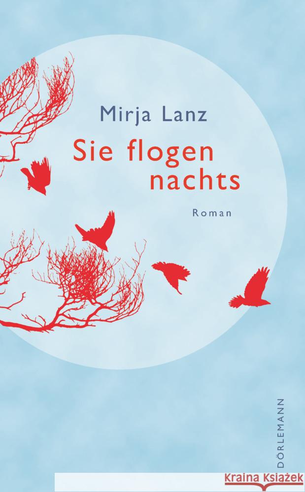 Sie flogen nachts Lanz, Mirja 9783038201229 Dörlemann - książka