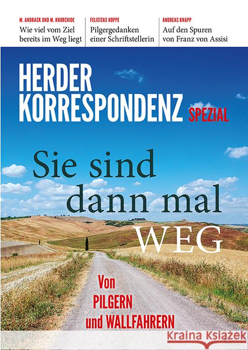 Sie sind dann mal weg Herder Korrespondenz, Karimi, Ahmad Milad, Hoppe, Felicitas 9783451102745 Herder, Freiburg - książka