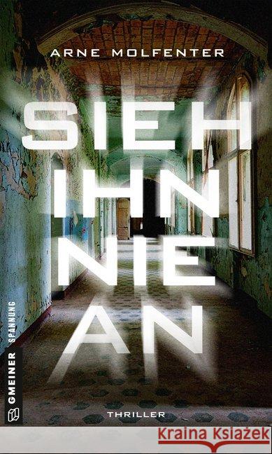 Sieh ihn nie an : Thriller Molfenter, Arne 9783839224045 Gmeiner - książka