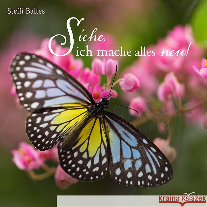 Siehe, ich mache alles neu! Baltes, Steffi 9783963624803 Francke-Buch - książka