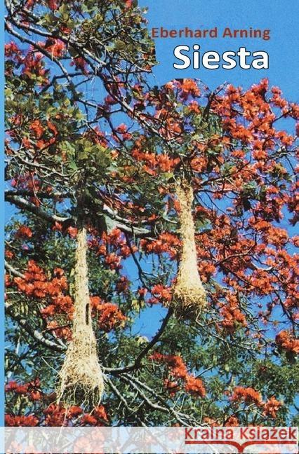 Siesta Arning, Eberhard 9783748578956 epubli - książka