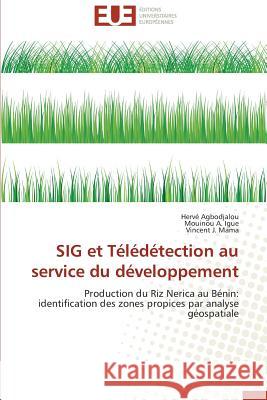 SIG et Télédétection au service du développement : Production du Riz Nerica au Bénin: identification des zones propices par analyse géospatiale Agbodjalou, Hervé; Igue, Mouinou A.; Mama, Vincent J. 9786131516221 Éditions universitaires européennes - książka