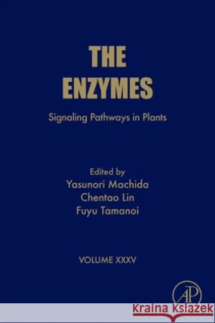 Signaling Pathways in Plants: Volume 35 Machida, Yasunori 9780128019221 Academic Press - książka