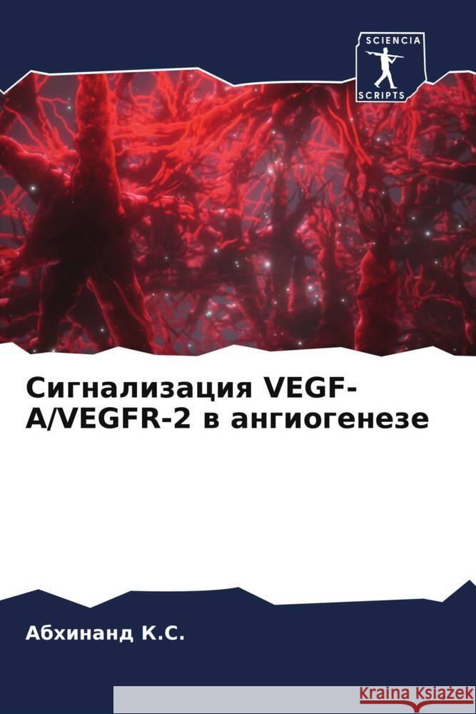 Signalizaciq VEGF-A/VEGFR-2 w angiogeneze K.S., Abhinand 9786204601298 Sciencia Scripts - książka