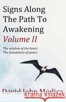 Signs Along The Path To Awakening - Volume II David John Modica 9781685836092 Tablo Pty Ltd - książka