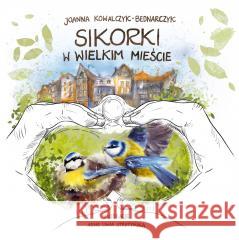 Sikorki w Wielkim Mieście Joanna Kowalczyk-Bednarczyk 9788362238866 Studio Koloru - książka