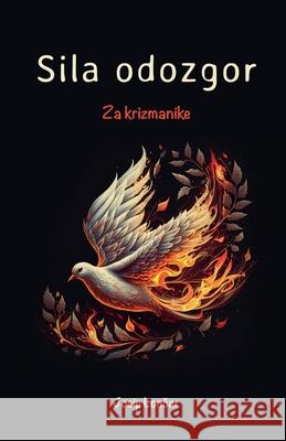 Sila odozgor, za krizmanike Josip Loncar 9798227628107 Josip Loncar - książka