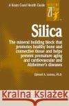 Silica Edward A. Lemmo Lemmo Edward 9780879839055 McGraw-Hill Education