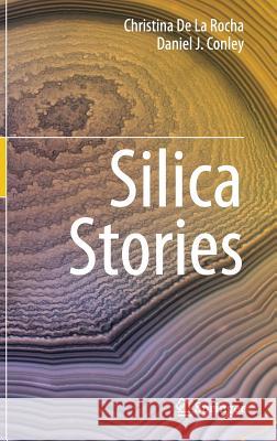 Silica Stories Christina D Daniel Conley 9783319540535 Springer - książka