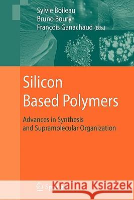 Silicon Based Polymers: Advances in Synthesis and Supramolecular Organization Ganachaud, François 9789048179022 Springer - książka