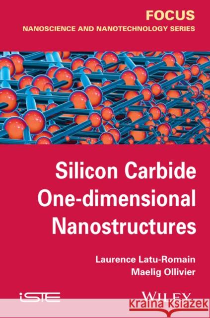 Silicon Carbide One-Dimensional Nanostructures Latu-Romain, Laurence 9781848217973 John Wiley & Sons - książka