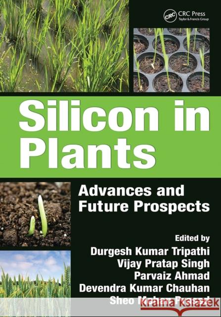 Silicon in Plants: Advances and Future Prospects Durgesh Kumar Tripathi Vijay Pratap Singh Parvaiz Ahmad 9781032097237 CRC Press - książka