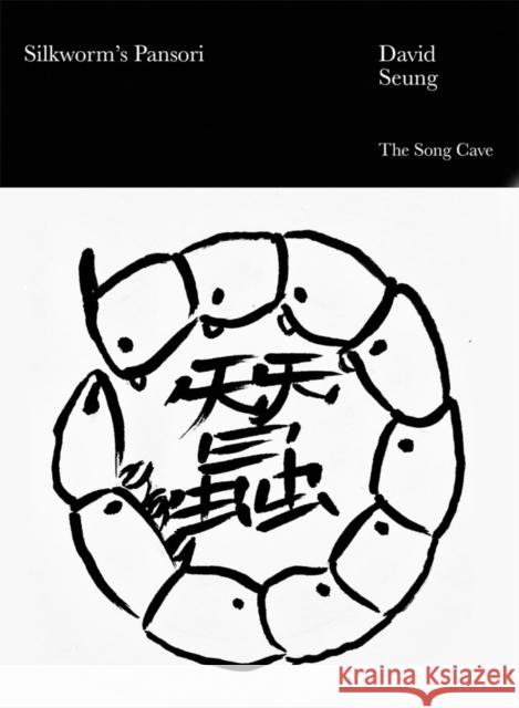 Silkworm's Pansori Seung, David 9798991298810 Song Cave - książka